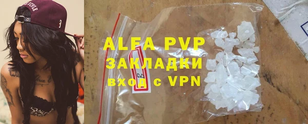 ГАЛЛЮЦИНОГЕННЫЕ ГРИБЫ Бородино