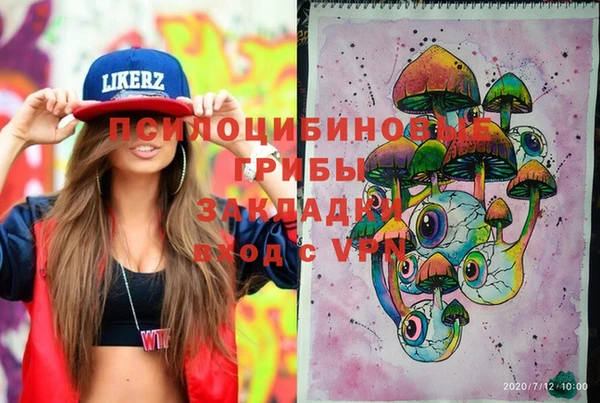 дживик Бугульма