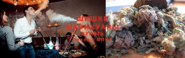 ГАЛЛЮЦИНОГЕННЫЕ ГРИБЫ Бородино