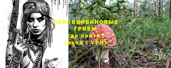 дживик Бугульма