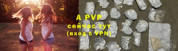 ГАЛЛЮЦИНОГЕННЫЕ ГРИБЫ Бородино