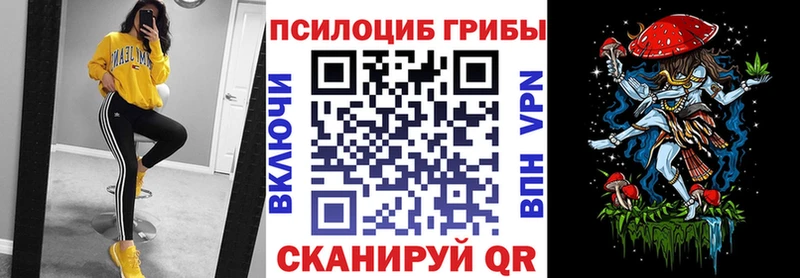 Галлюциногенные грибы мицелий  Купить закладки  Тында 