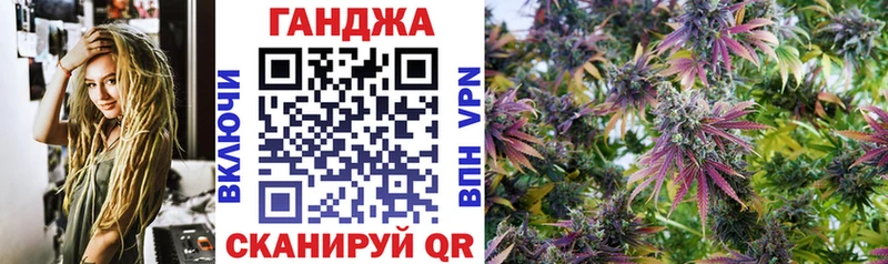 Марихуана сатива  Купить где  Тында 